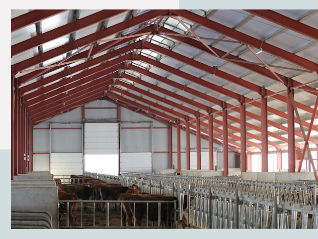 Строительство коровников в Дзержинске