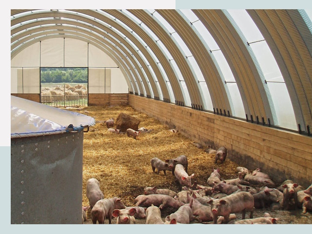 Строительство свинарников в Дзержинске