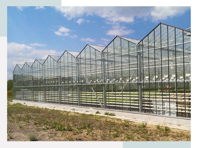 Строительство теплиц в Дзержинск от 610 руб. за м²